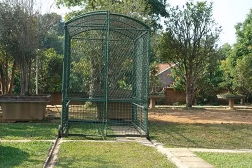 Sieu cay cua dai gia Viet dinh dam tren bao My dat co nao?-Hinh-9