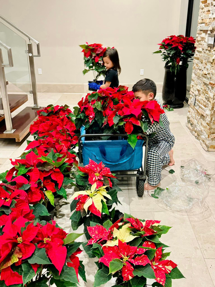 Ngam biet thu 1.500m2 ruc sac hoa cua vo cu Dan Truong-Hinh-4