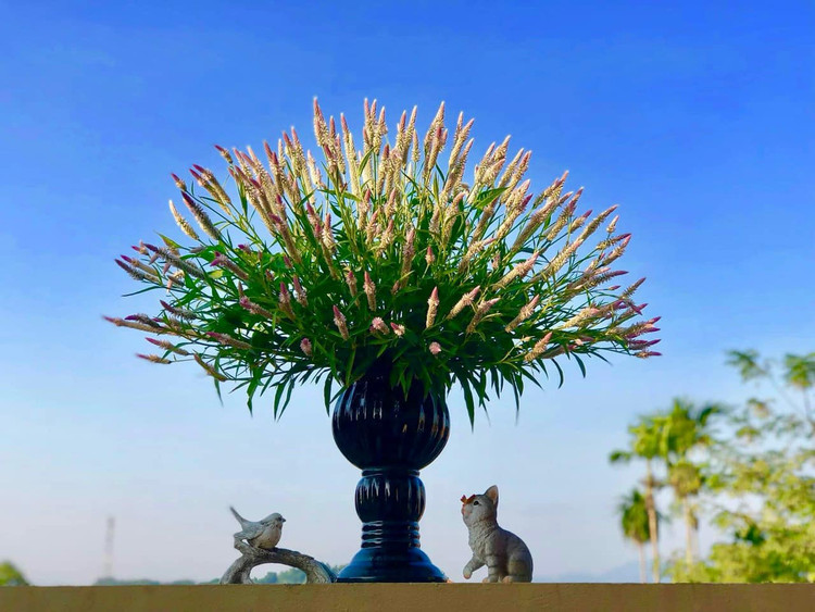 Bat ngo loai co dai thanh thu choi hut khach o Ha Noi-Hinh-4