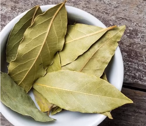 Nhung dieu chua biet ve loai la Viet sang My 2 trieu dong/kg-Hinh-3