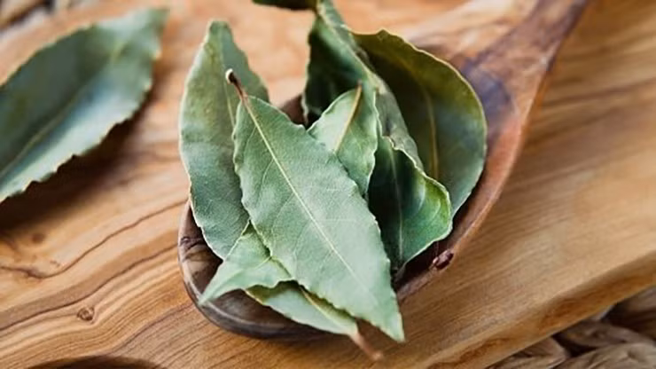 Nhung dieu chua biet ve loai la Viet sang My 2 trieu dong/kg-Hinh-6