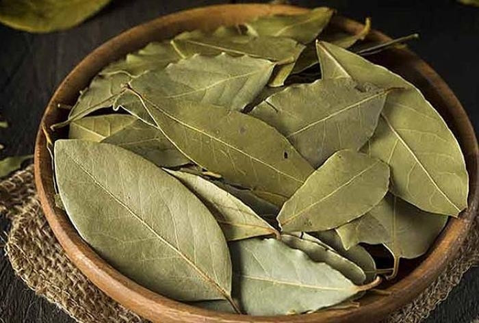 Nhung dieu chua biet ve loai la Viet sang My 2 trieu dong/kg-Hinh-11