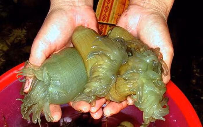 Muc so thi “than duoc quy ong” gia tien trieu van chay hang-Hinh-4