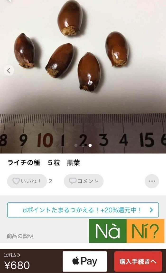 5 thu bo di o Viet Nam, dat “khung khiep” o nuoc ngoai-Hinh-8