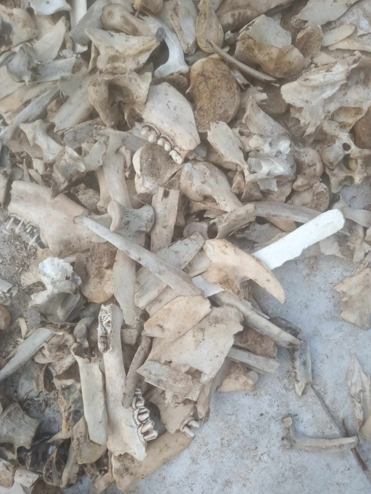 4 thu tuong bo di, khong ngo la “mo vang”-Hinh-3