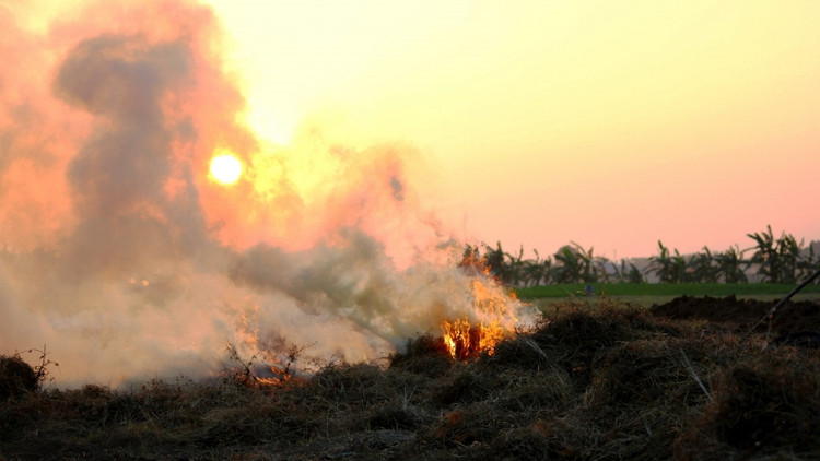 4 thu tuong bo di, khong ngo la “mo vang”-Hinh-4