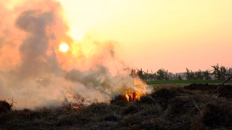 4 thu tuong bo di, khong ngo la “mo vang”-Hinh-4