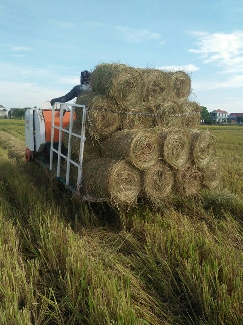 4 thu tuong bo di, khong ngo la “mo vang”-Hinh-5