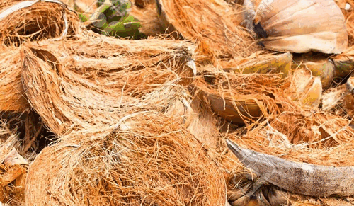 4 thu tuong bo di, khong ngo la “mo vang”-Hinh-12