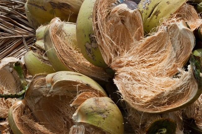 4 thu tuong bo di, khong ngo la “mo vang”-Hinh-11