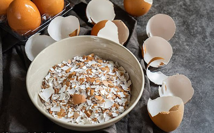 4 thu tuong bo di, khong ngo la “mo vang”-Hinh-7