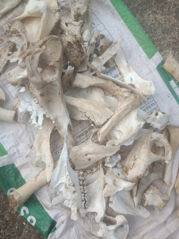 4 thu tuong bo di, khong ngo la “mo vang”