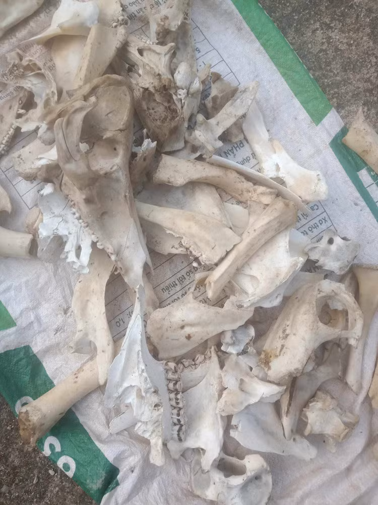 4 thu tuong bo di, khong ngo la “mo vang”