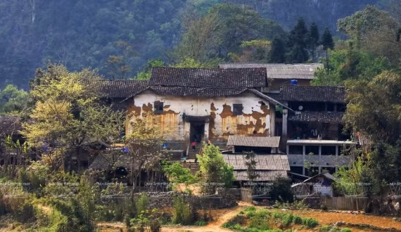 Bi an nha co tram tuoi dang chim dai bang o Ha Giang-Hinh-2