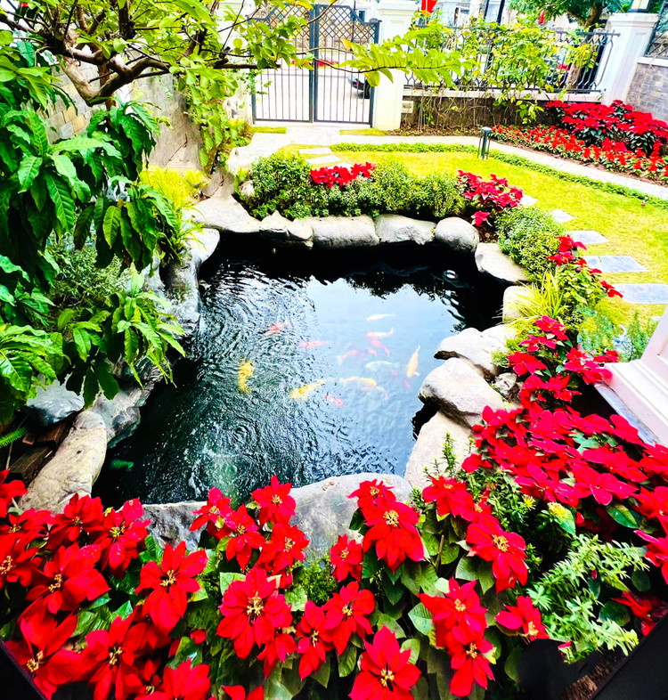 Ben trong biet thu trieu do cua La Thanh Huyen truoc Giang sinh-Hinh-10