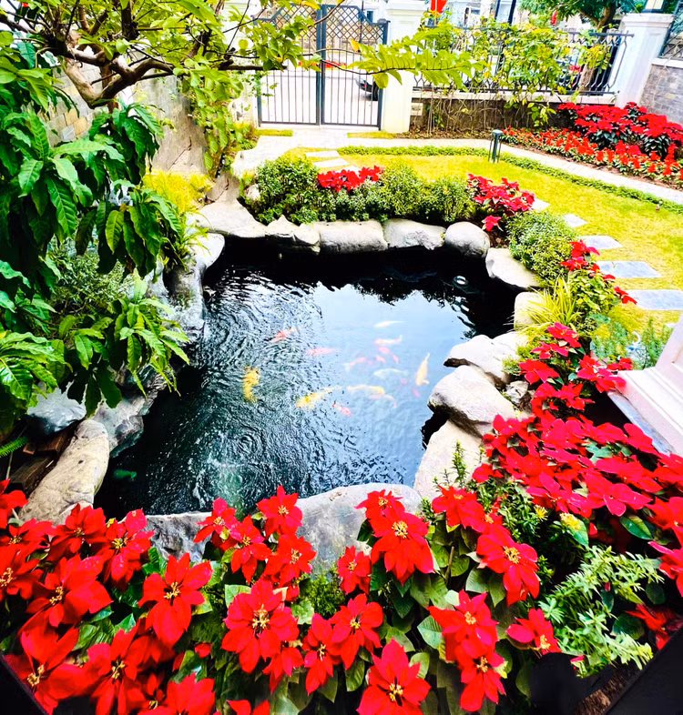 Ben trong biet thu trieu do cua La Thanh Huyen truoc Giang sinh-Hinh-10