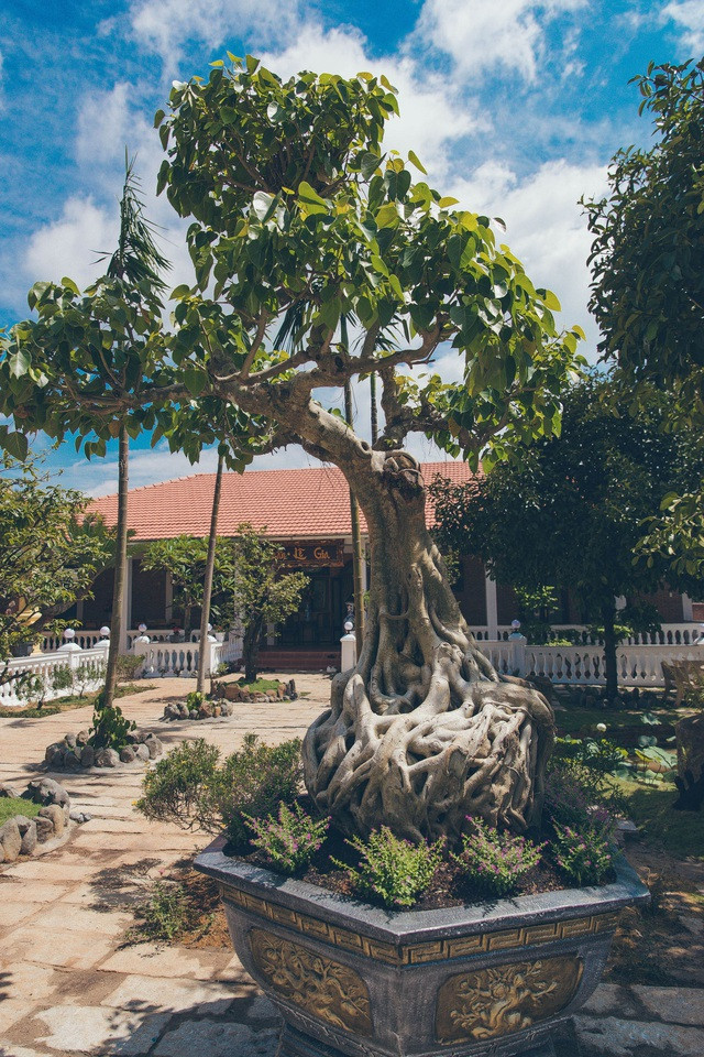 Co gi trong biet phu 10.000m2 o que cua Ly Nha Ky?-Hinh-11