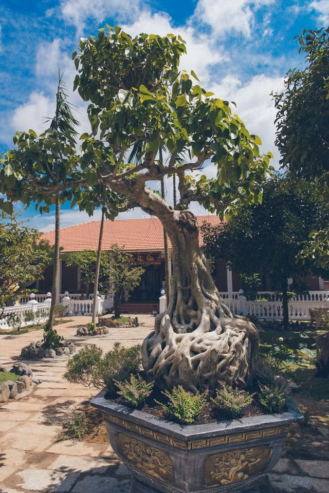 Co gi trong biet phu 10.000m2 o que cua Ly Nha Ky?-Hinh-11