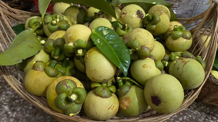 3 loai trai cay gay sot thi truong Viet nam 2023-Hinh-8