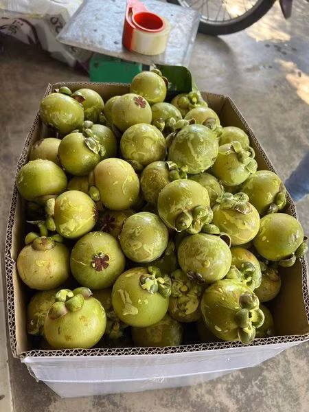 3 loai trai cay gay sot thi truong Viet nam 2023-Hinh-6