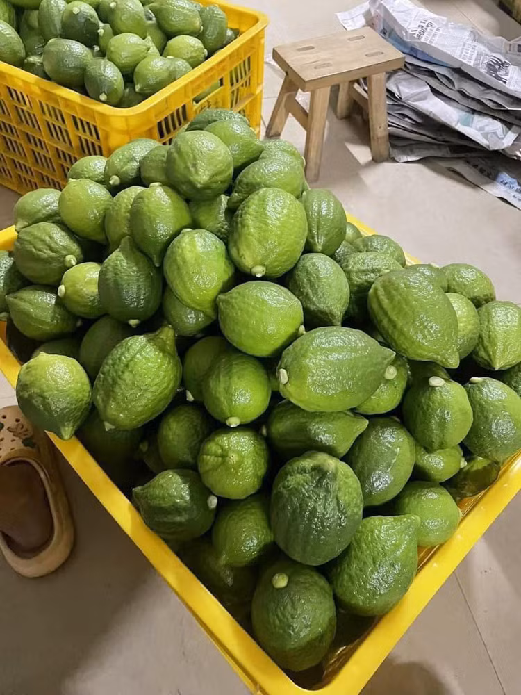 3 loai trai cay gay sot thi truong Viet nam 2023-Hinh-2