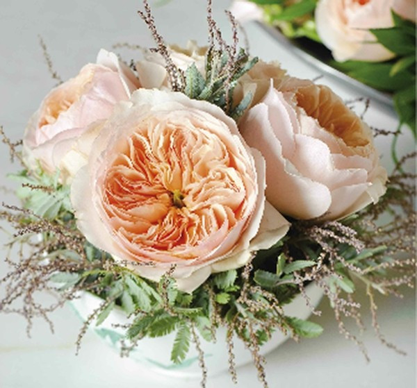 10 loài hoa đắt nhất hành tinh, có tiền cũng không mua được - Hình 3 10 loai hoa dat nhat hanh tinh, co tien cung khong mua duoc-Hinh-3