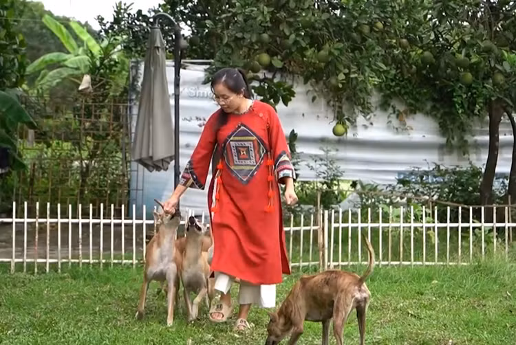 Can canh trang trai cho Phu Quoc bac ty cua nu duoc si Ha Noi-Hinh-9