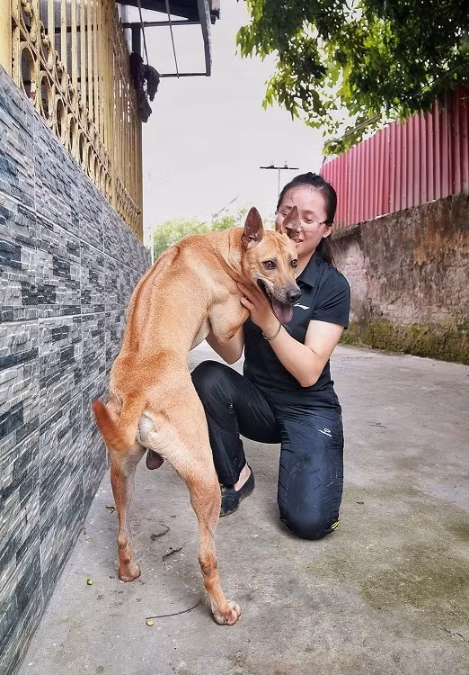 Can canh trang trai cho Phu Quoc bac ty cua nu duoc si Ha Noi-Hinh-7