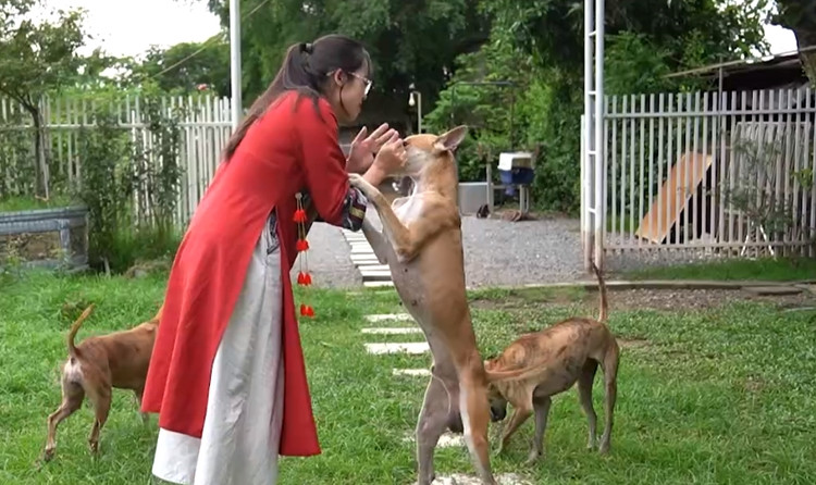 Can canh trang trai cho Phu Quoc bac ty cua nu duoc si Ha Noi-Hinh-10