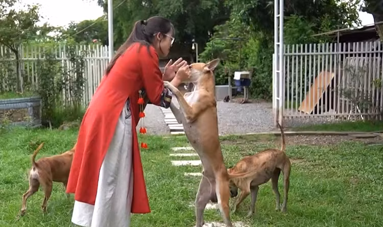 Can canh trang trai cho Phu Quoc bac ty cua nu duoc si Ha Noi-Hinh-10