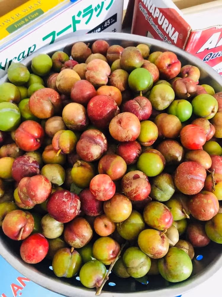 Man hau trai mua gan nua trieu dong/kg van “chay hang”-Hinh-5