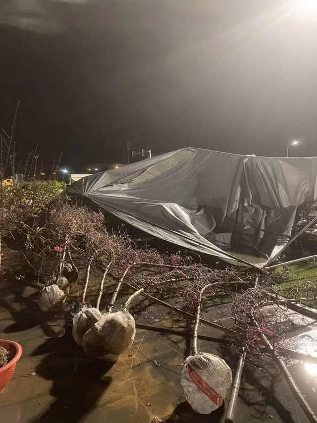 Gio manh trong dem, quat, dao do la liet, tieu thuong lo mat Tet-Hinh-9