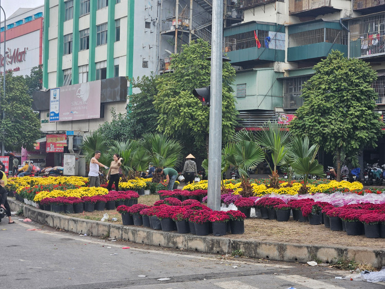 Can canh diem rac “chui” bien thanh vuon hoa san sang don Tet-Hinh-5