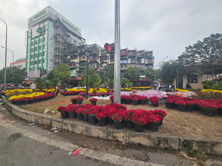 Can canh diem rac “chui” bien thanh vuon hoa san sang don Tet-Hinh-8