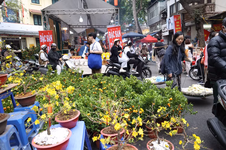 Cho hoa co nhat Ha Noi dong duc nguoi xem, suc mua han che-Hinh-8