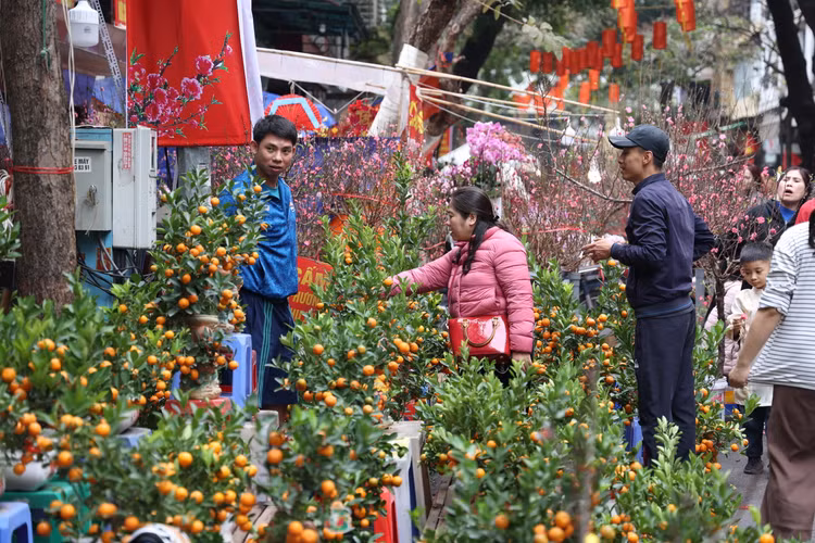Cho hoa co nhat Ha Noi dong duc nguoi xem, suc mua han che-Hinh-10