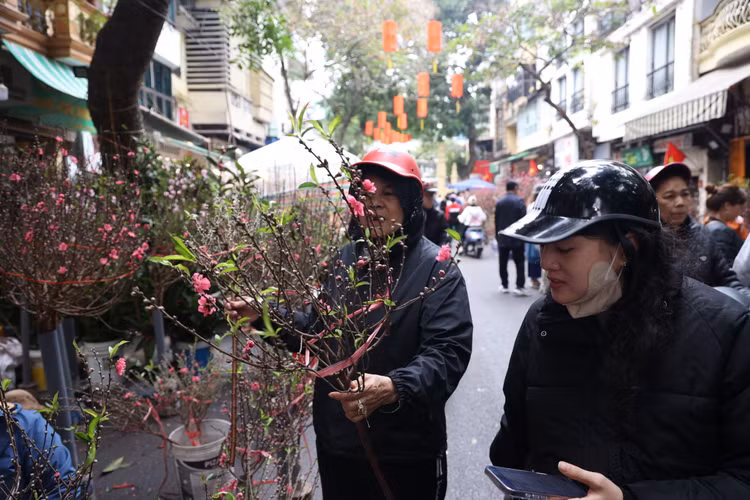 Cho hoa co nhat Ha Noi dong duc nguoi xem, suc mua han che-Hinh-3