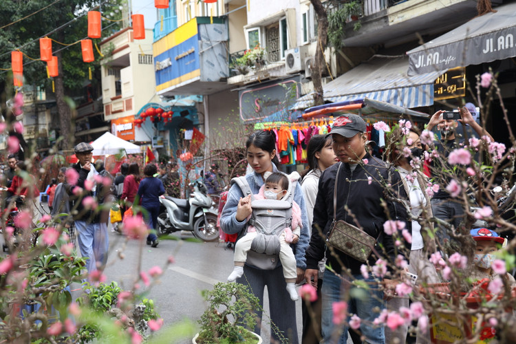 Cho hoa co nhat Ha Noi dong duc nguoi xem, suc mua han che-Hinh-7