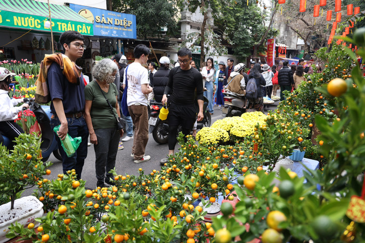 Cho hoa co nhat Ha Noi dong duc nguoi xem, suc mua han che-Hinh-9