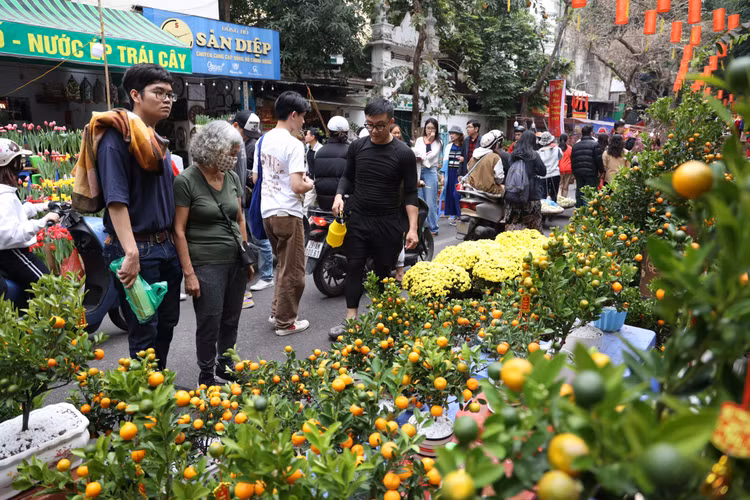 Cho hoa co nhat Ha Noi dong duc nguoi xem, suc mua han che-Hinh-9