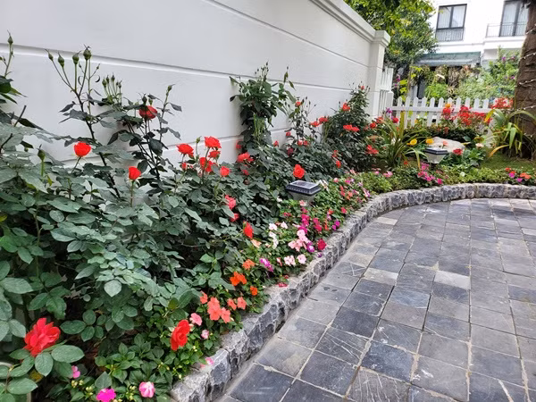 Can canh biet thu bac ty cua Tuan Hung giua long Ha Noi-Hinh-7