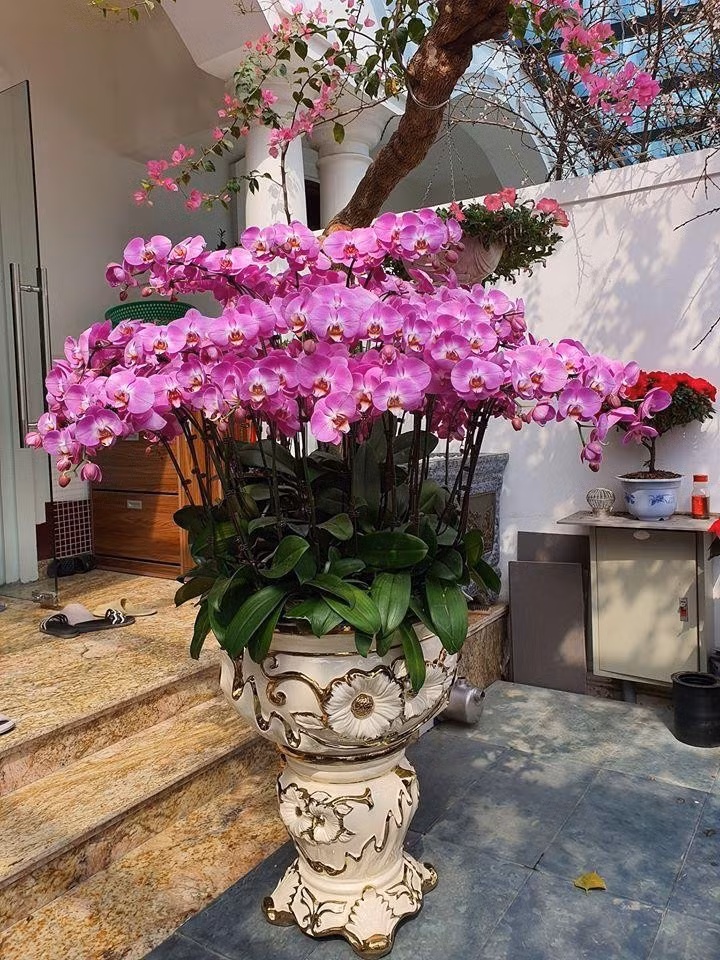 Can canh biet thu bac ty cua Tuan Hung giua long Ha Noi-Hinh-9