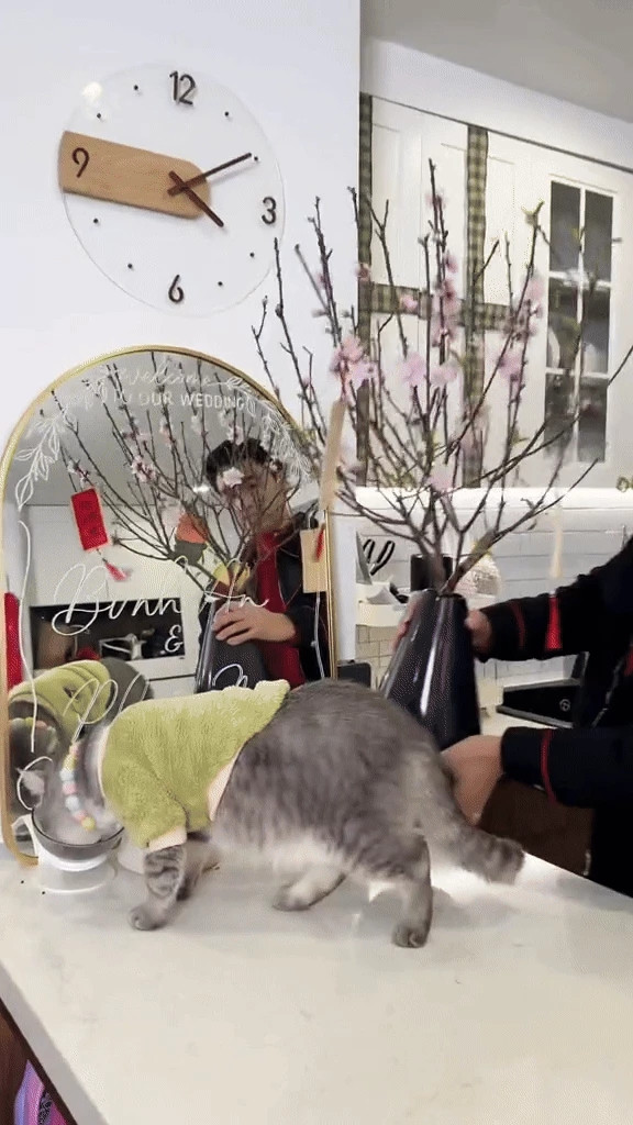 Don Tet 2024, Binh An - Phuong Nga trang tri nha dep co nao?-Hinh-6