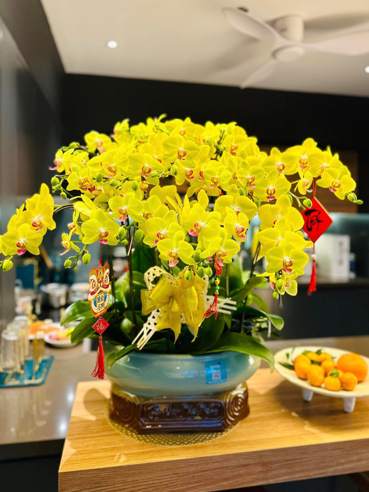 Tron khong gian don Tet cua nu chinh “Nhat ky Vang Anh” Minh Huong-Hinh-3