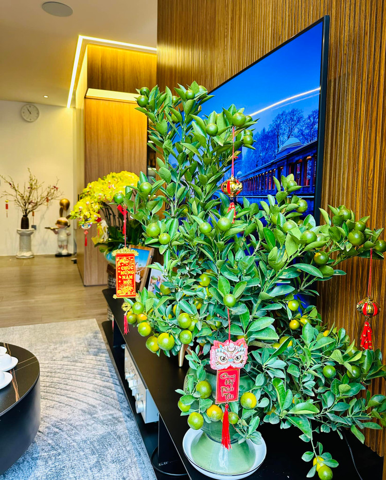 Tron khong gian don Tet cua nu chinh “Nhat ky Vang Anh” Minh Huong-Hinh-4