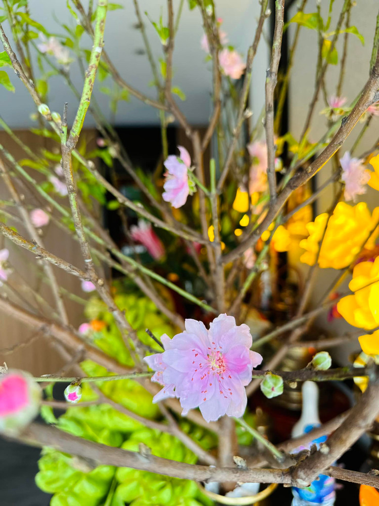 Tron khong gian don Tet cua nu chinh “Nhat ky Vang Anh” Minh Huong-Hinh-5