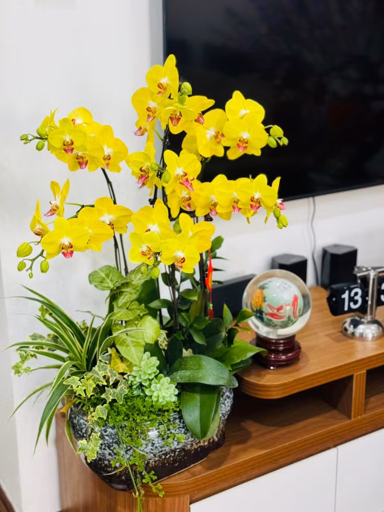 Phong khach ngap hoa trong nha NSND Cong Ly ngay can Tet-Hinh-4