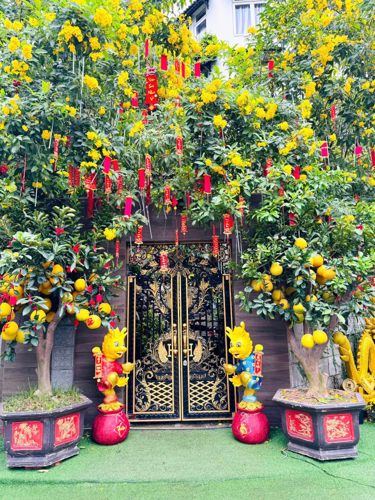 Can canh biet thu ruc sac hoa don Tet cua Dam Vinh Hung-Hinh-2