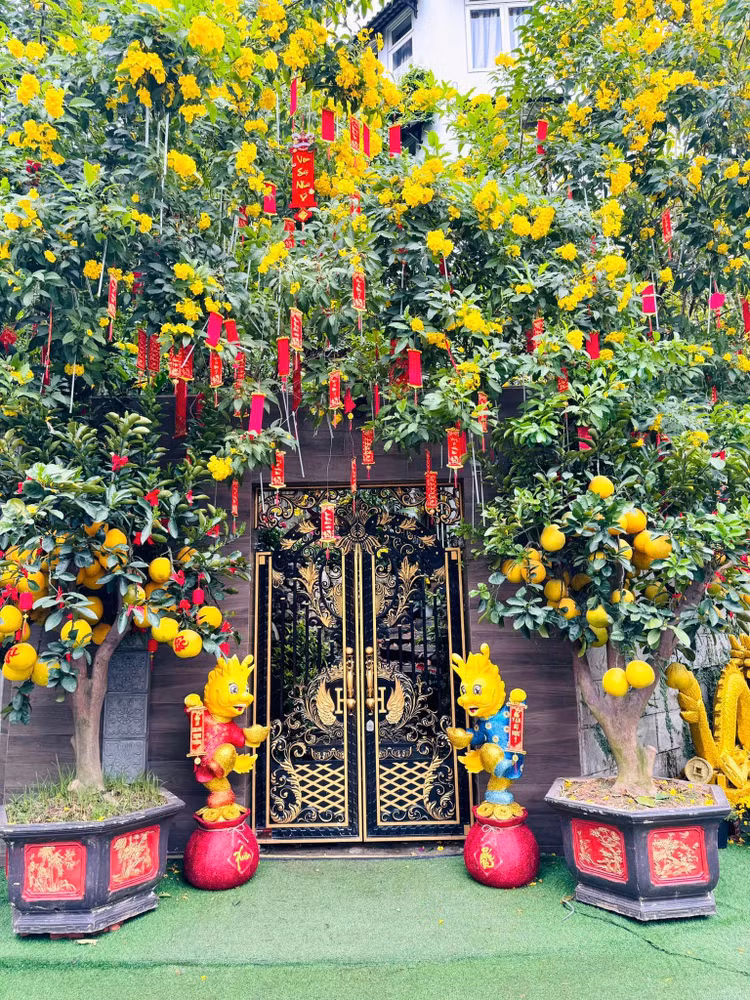 Can canh biet thu ruc sac hoa don Tet cua Dam Vinh Hung-Hinh-2