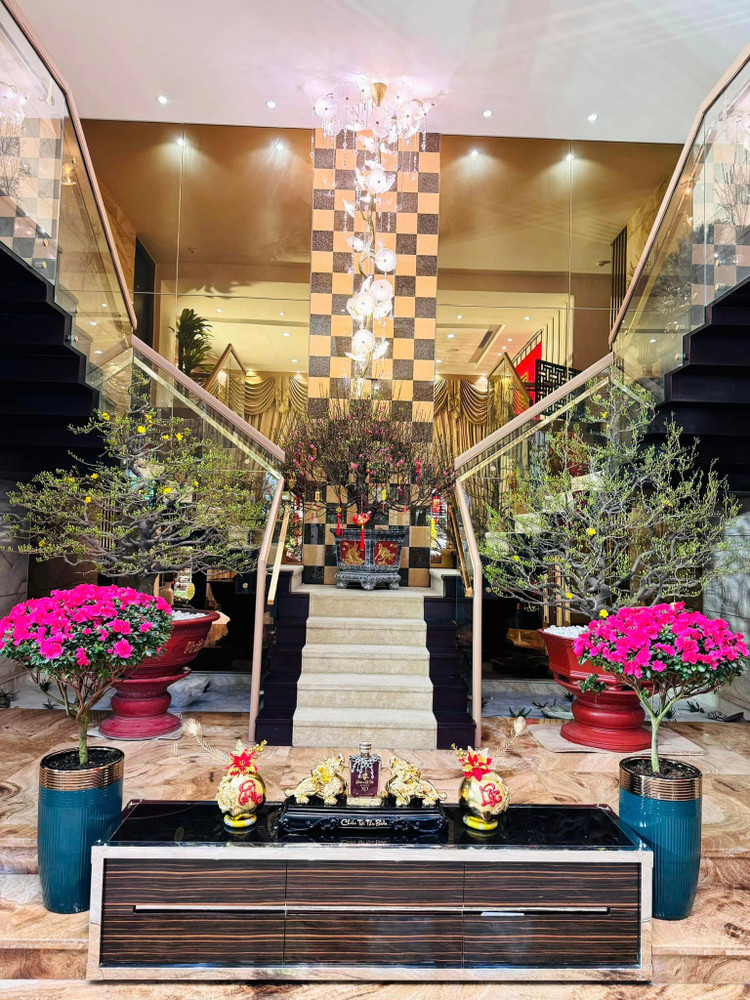 Can canh biet thu ruc sac hoa don Tet cua Dam Vinh Hung-Hinh-6